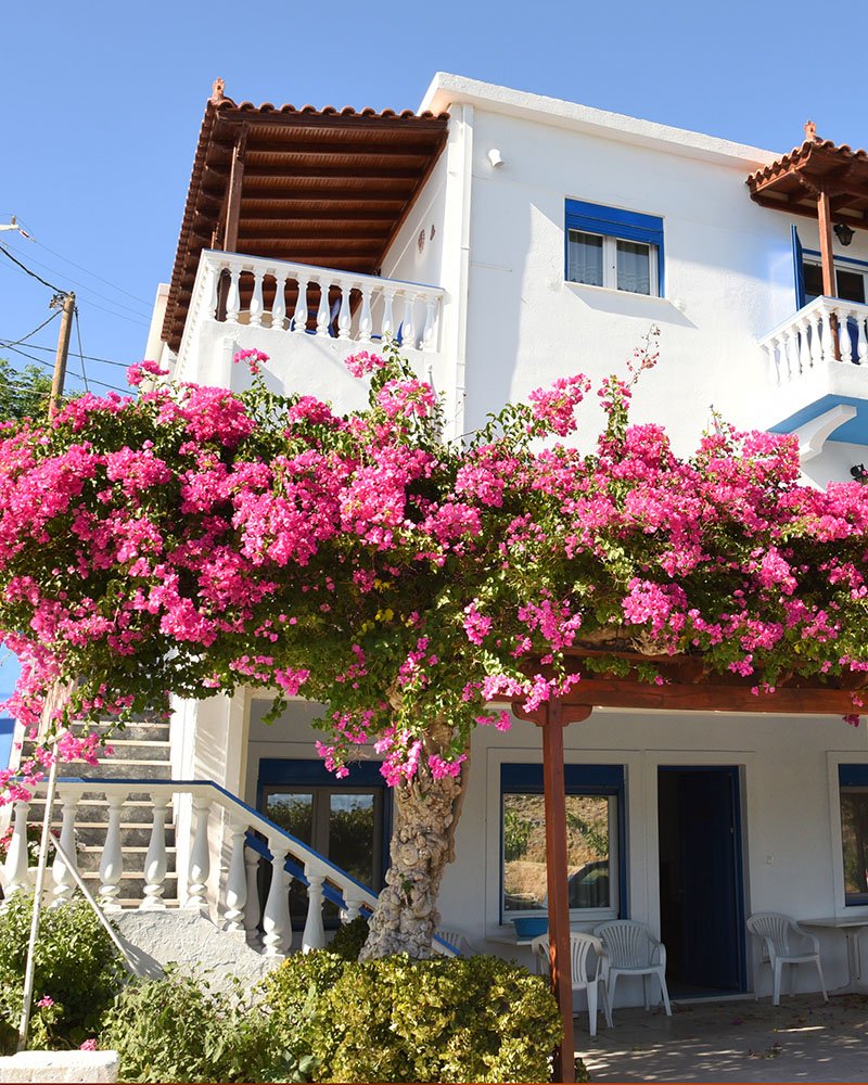 Villa Limanaki Villa Limanaki rooms in Batsi Andros